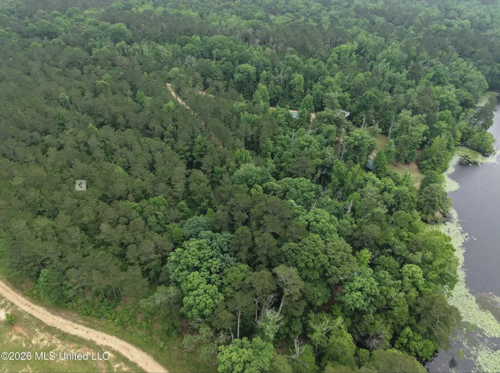 000 Furrs Mill Dr Ne Drive Wesson, MS 39191