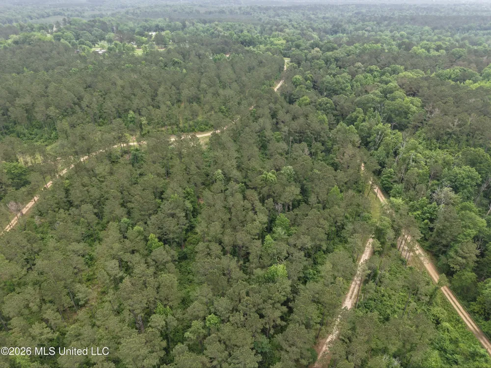 000 Furrs Mill Dr Ne Drive Wesson, MS 39191