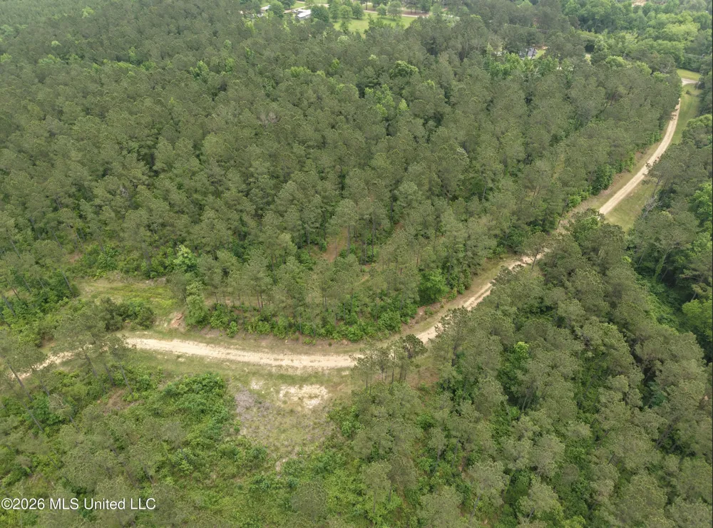000 Furrs Mill Dr Ne Drive Wesson, MS 39191