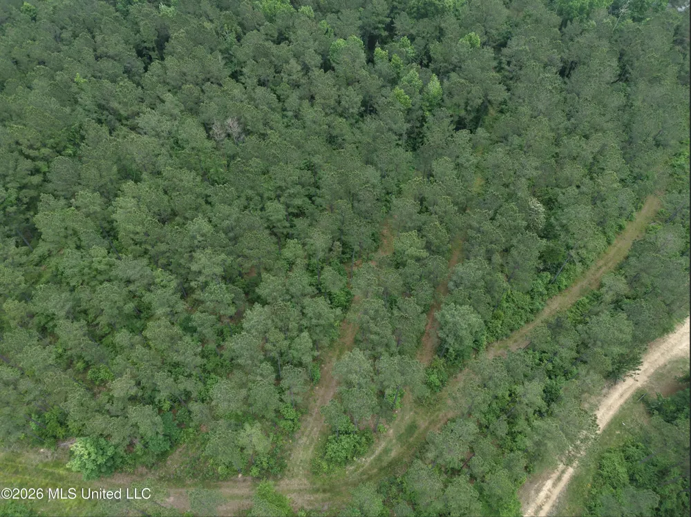 000 Furrs Mill Dr Ne Drive Wesson, MS 39191