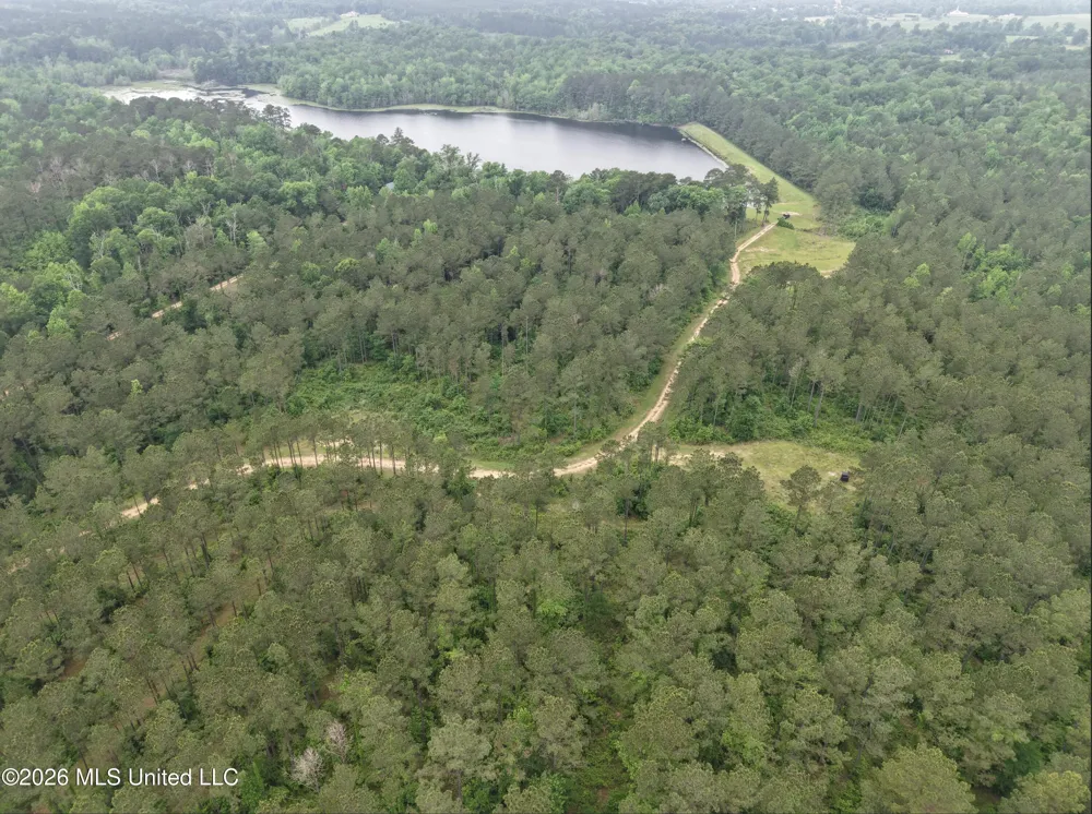 000 Furrs Mill Dr Ne Drive Wesson, MS 39191