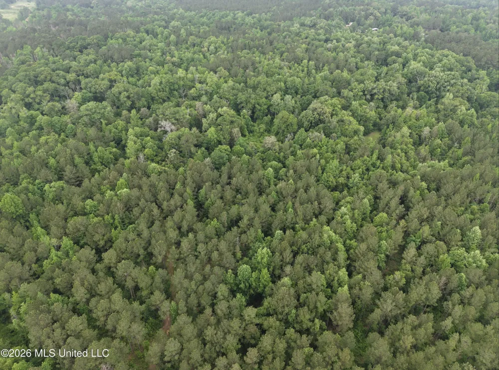000 Furrs Mill Dr Ne Drive Wesson, MS 39191