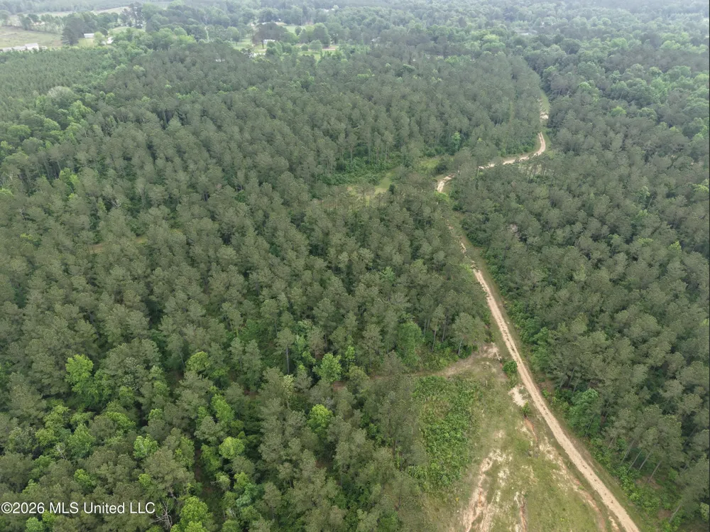 000 Furrs Mill Dr Ne Drive Wesson, MS 39191