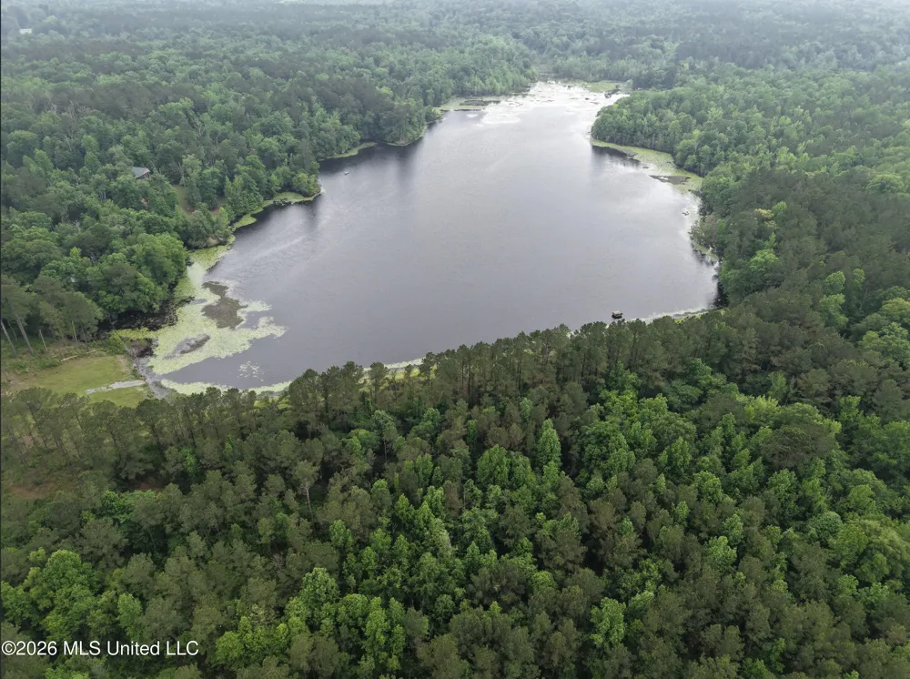 000 Furrs Mill Dr Ne Drive Wesson, MS 39191