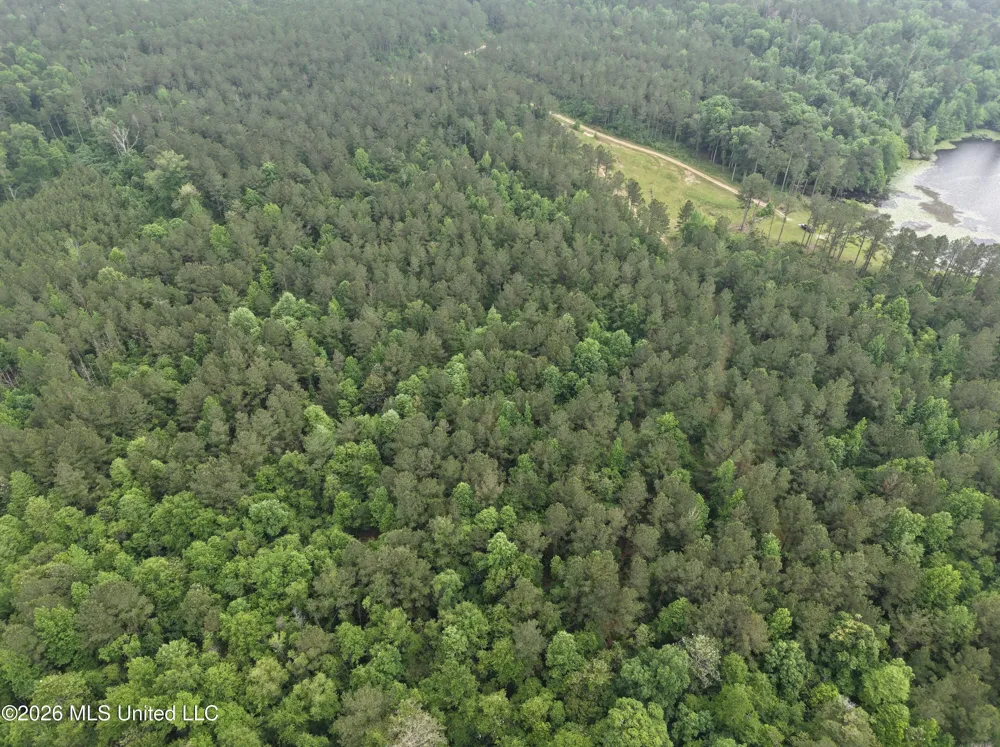 000 Furrs Mill Dr Ne Drive Wesson, MS 39191