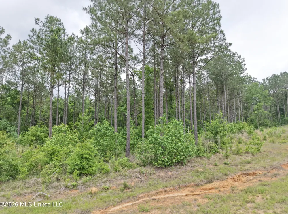 000 Furrs Mill Dr Ne Drive Wesson, MS 39191