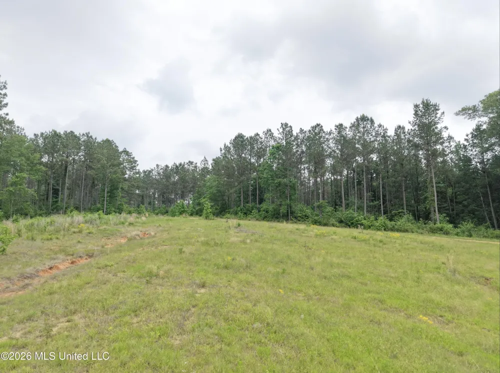 000 Furrs Mill Dr Ne Drive Wesson, MS 39191