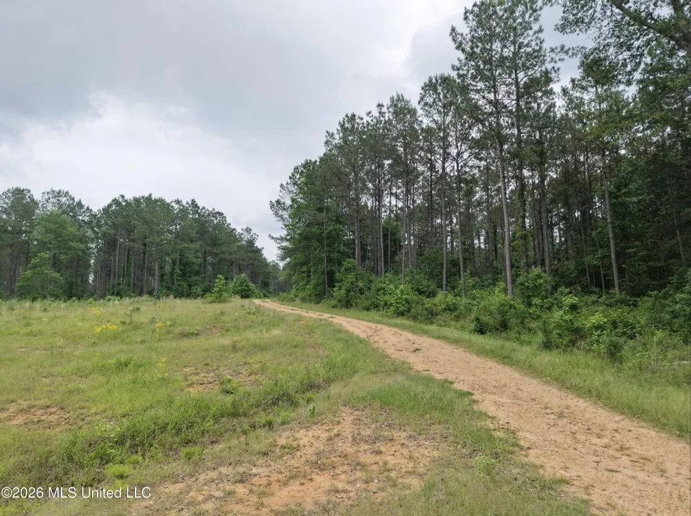 000 Furrs Mill Dr Ne Drive Wesson, MS 39191