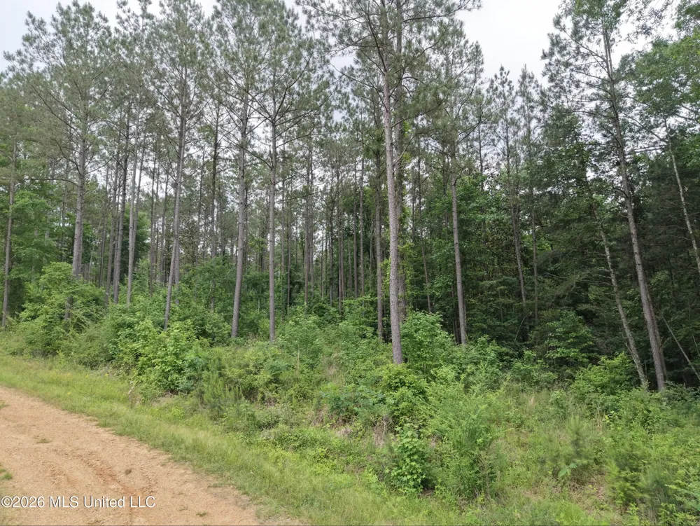 000 Furrs Mill Dr Ne Drive Wesson, MS 39191
