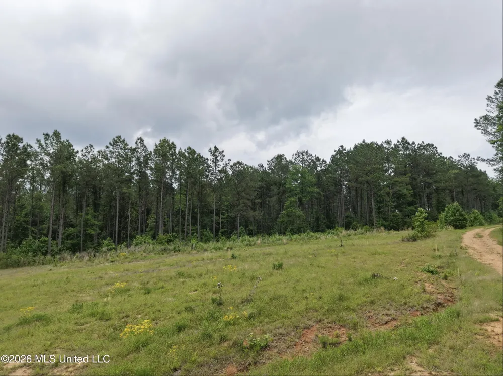000 Furrs Mill Dr Ne Drive Wesson, MS 39191