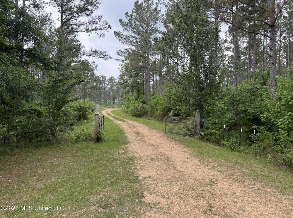 000 Furrs Mill Dr Ne Drive Wesson, MS 39191