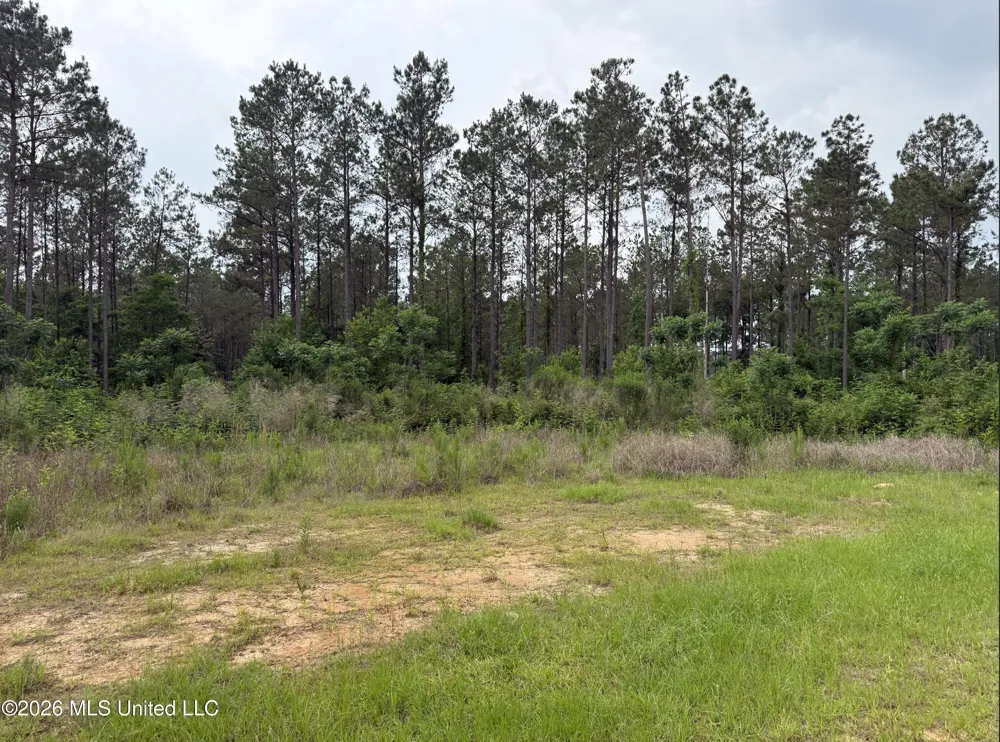 000 Furrs Mill Dr Ne Drive Wesson, MS 39191