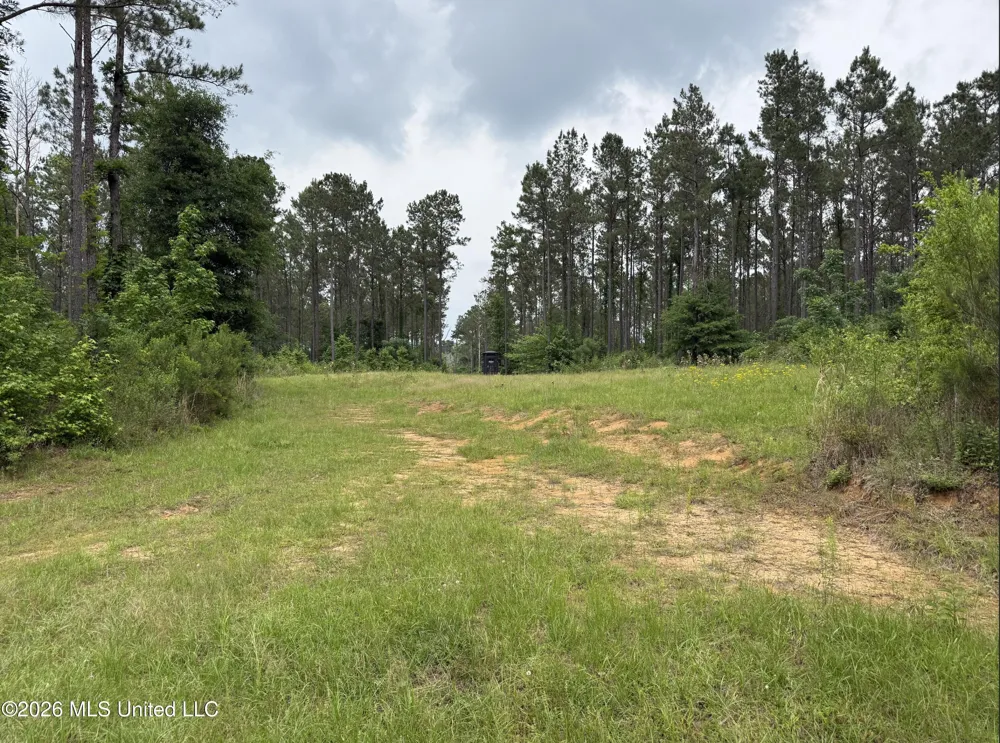 000 Furrs Mill Dr Ne Drive Wesson, MS 39191