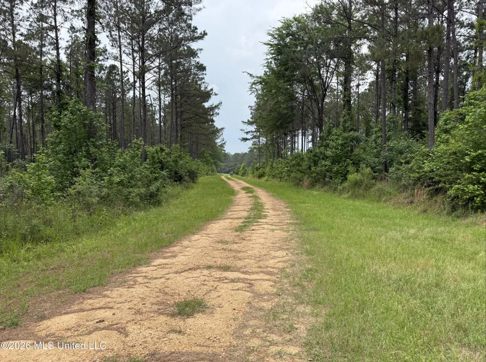 000 Furrs Mill Dr Ne Drive Wesson, MS 39191