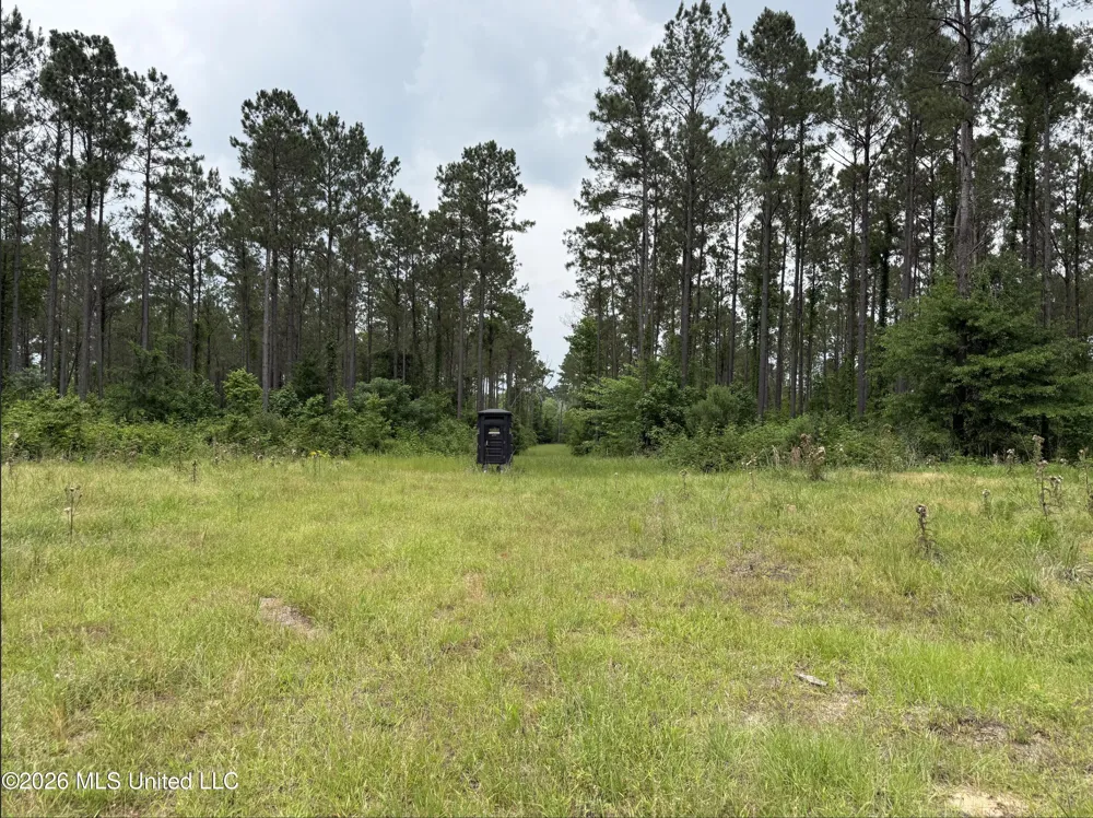 000 Furrs Mill Dr Ne Drive Wesson, MS 39191
