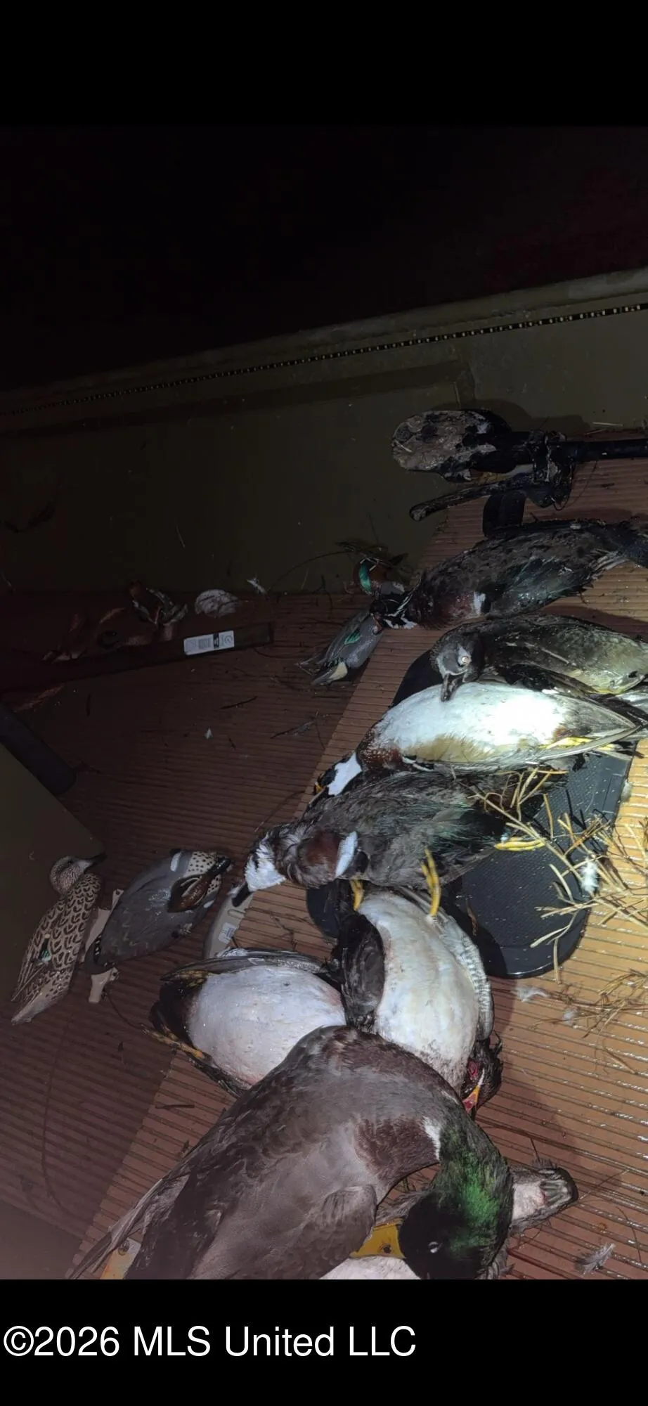 000 Furrs Mill Dr Ne Drive Wesson, MS 39191
