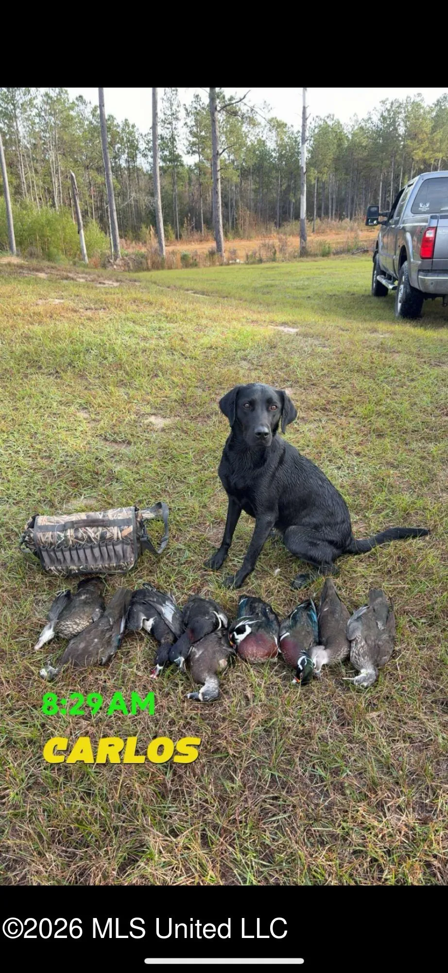 000 Furrs Mill Dr Ne Drive Wesson, MS 39191