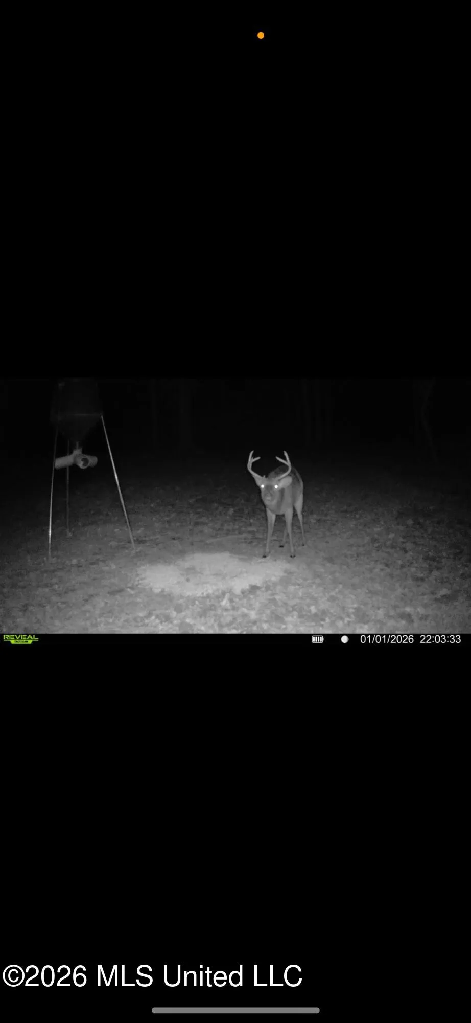 000 Furrs Mill Dr Ne Drive Wesson, MS 39191