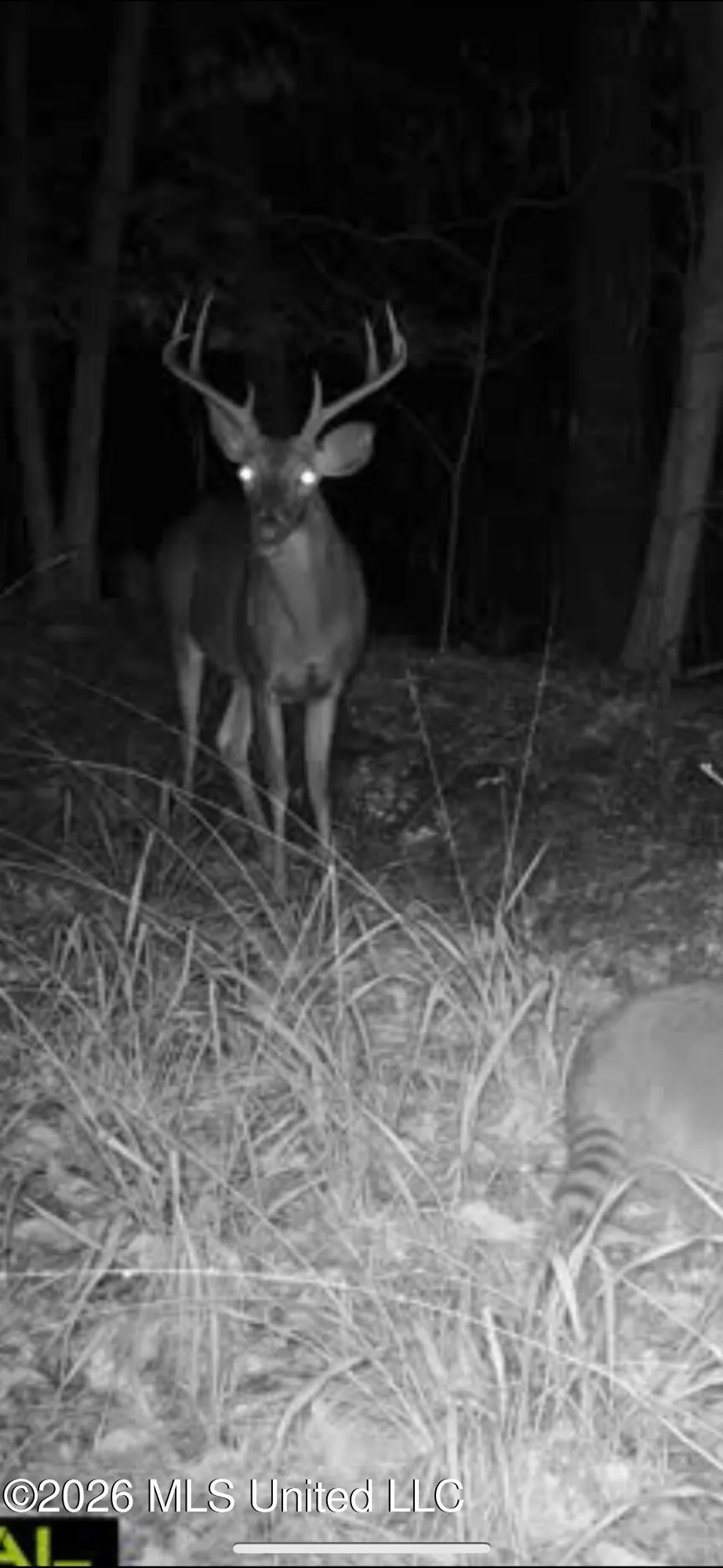 000 Furrs Mill Dr Ne Drive Wesson, MS 39191