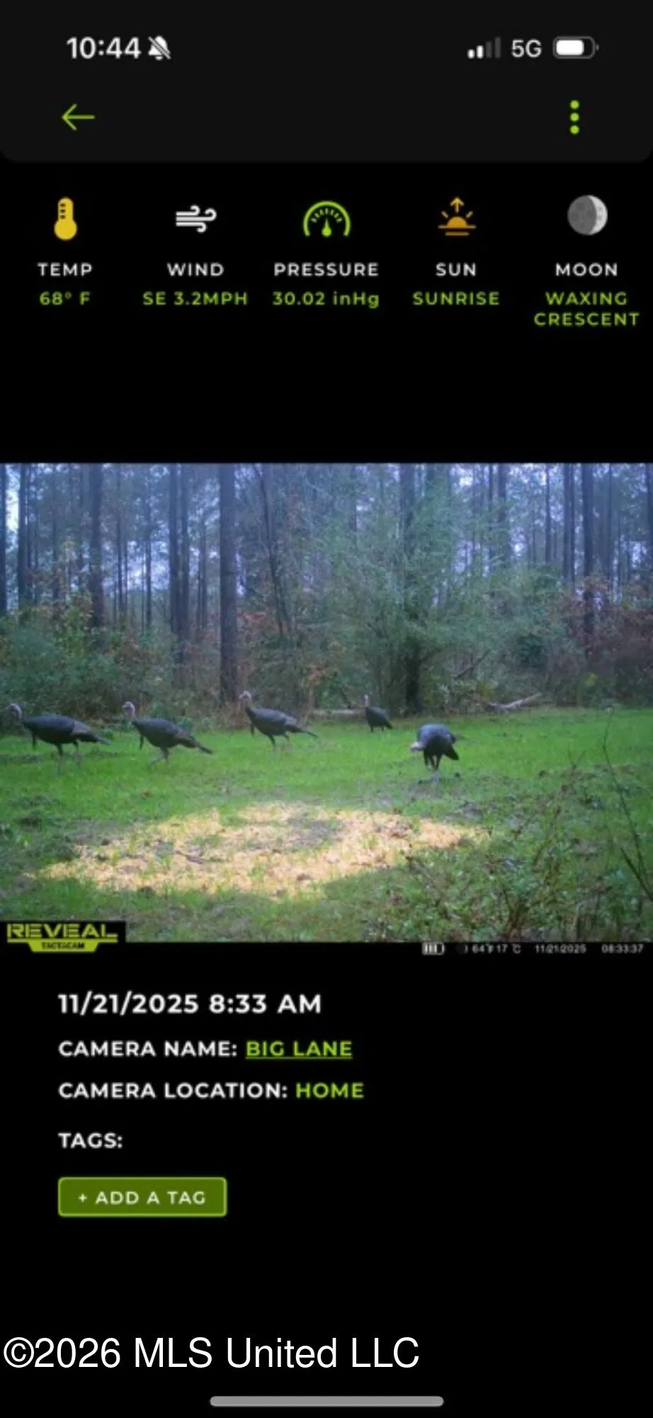 000 Furrs Mill Dr Ne Drive Wesson, MS 39191