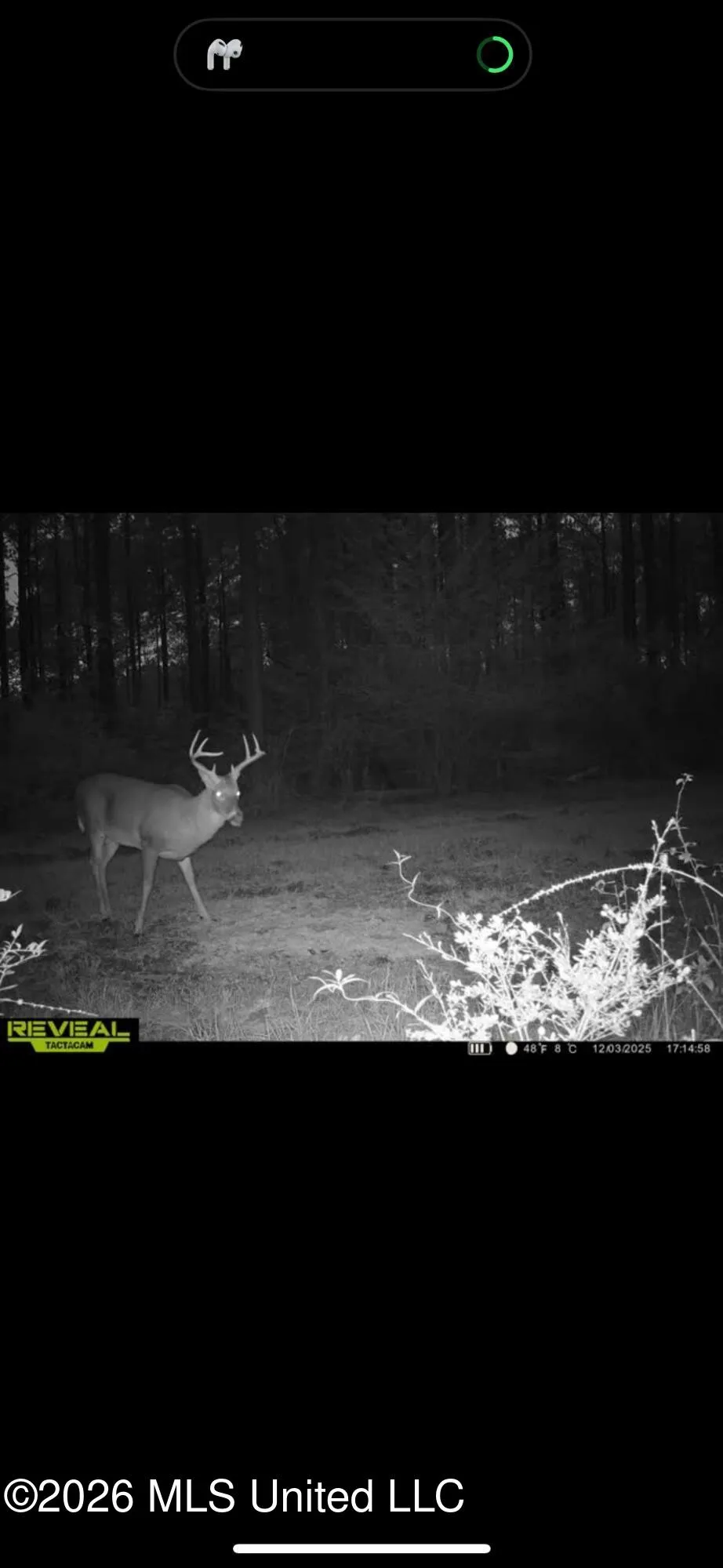 000 Furrs Mill Dr Ne Drive Wesson, MS 39191