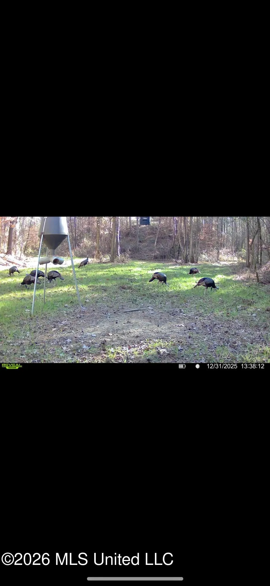 000 Furrs Mill Dr Ne Drive Wesson, MS 39191