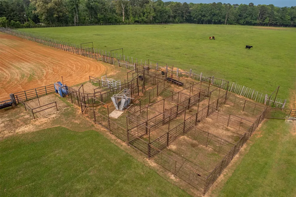 23241 County Road 2159 Troup, TX 75789