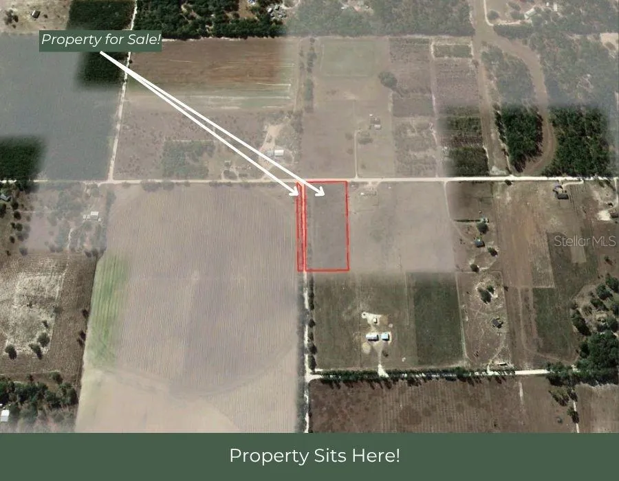 NW 50 STREET Bell, FL 32619