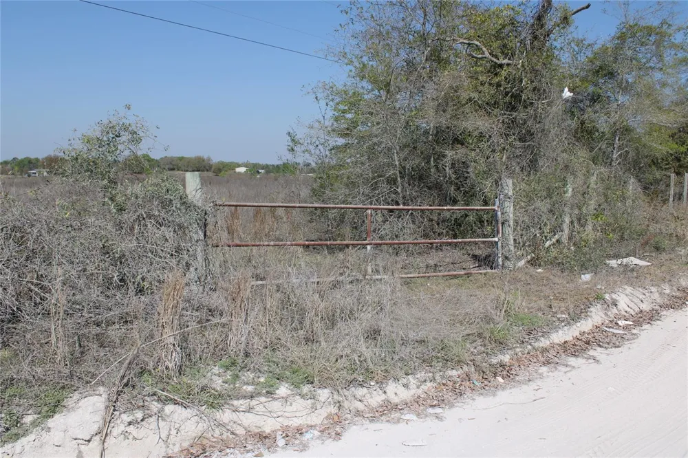 NW 50 STREET Bell, FL 32619