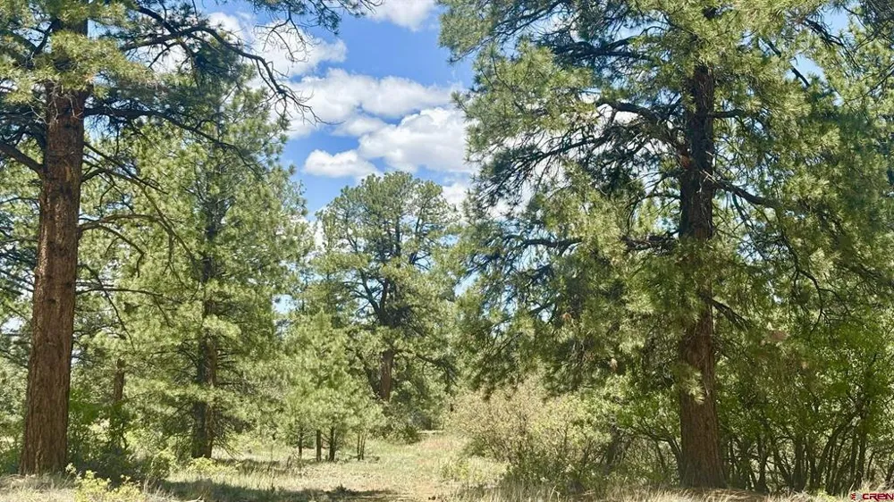 60 Fisher Canyon Drive Ridgway, CO 81432