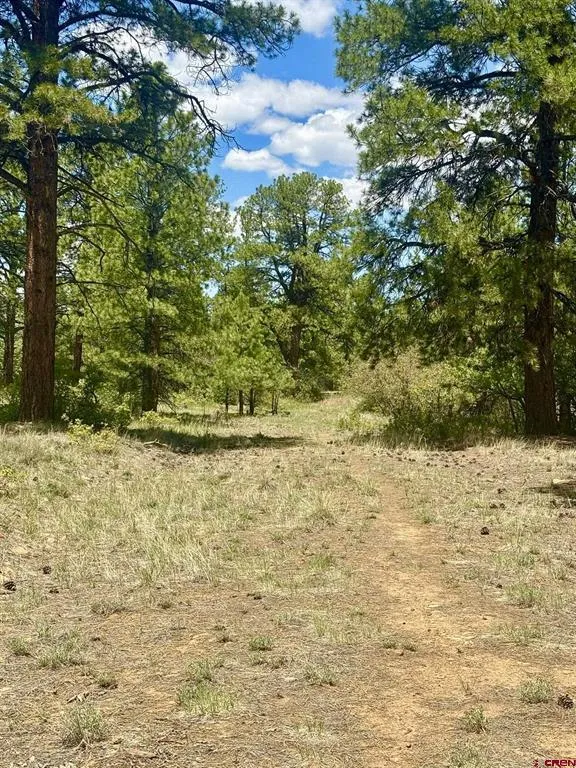 60 Fisher Canyon Drive Ridgway, CO 81432
