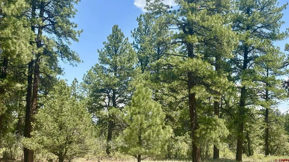 60 Fisher Canyon Drive Ridgway, CO 81432