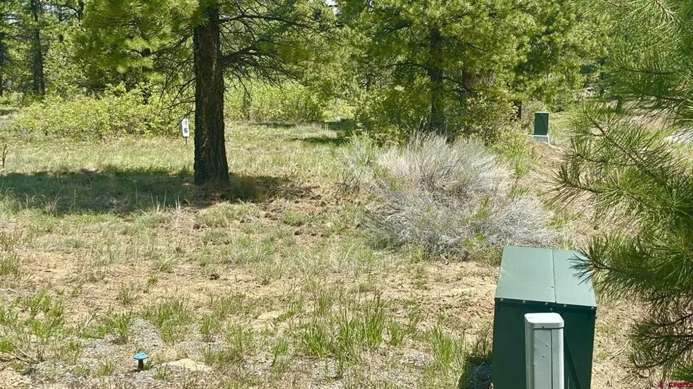 60 Fisher Canyon Drive Ridgway, CO 81432