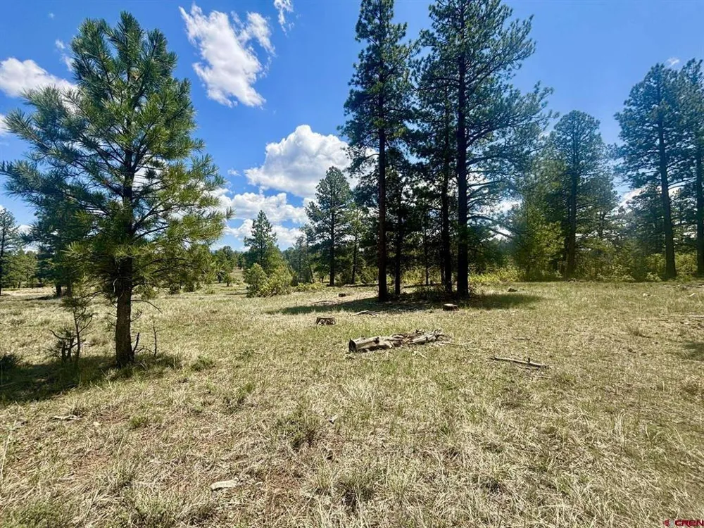 60 Fisher Canyon Drive Ridgway, CO 81432