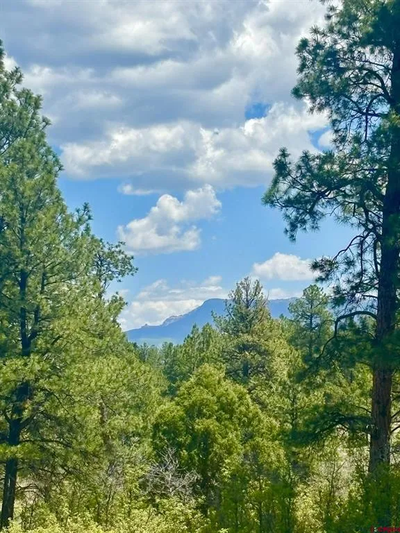 60 Fisher Canyon Drive Ridgway, CO 81432