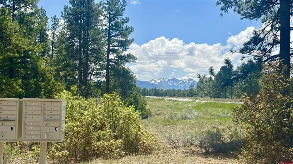 60 Fisher Canyon Drive Ridgway, CO 81432