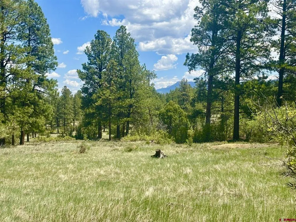 60 Fisher Canyon Drive Ridgway, CO 81432
