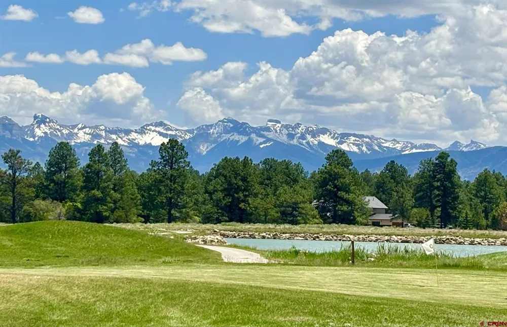 60 Fisher Canyon Drive Ridgway, CO 81432