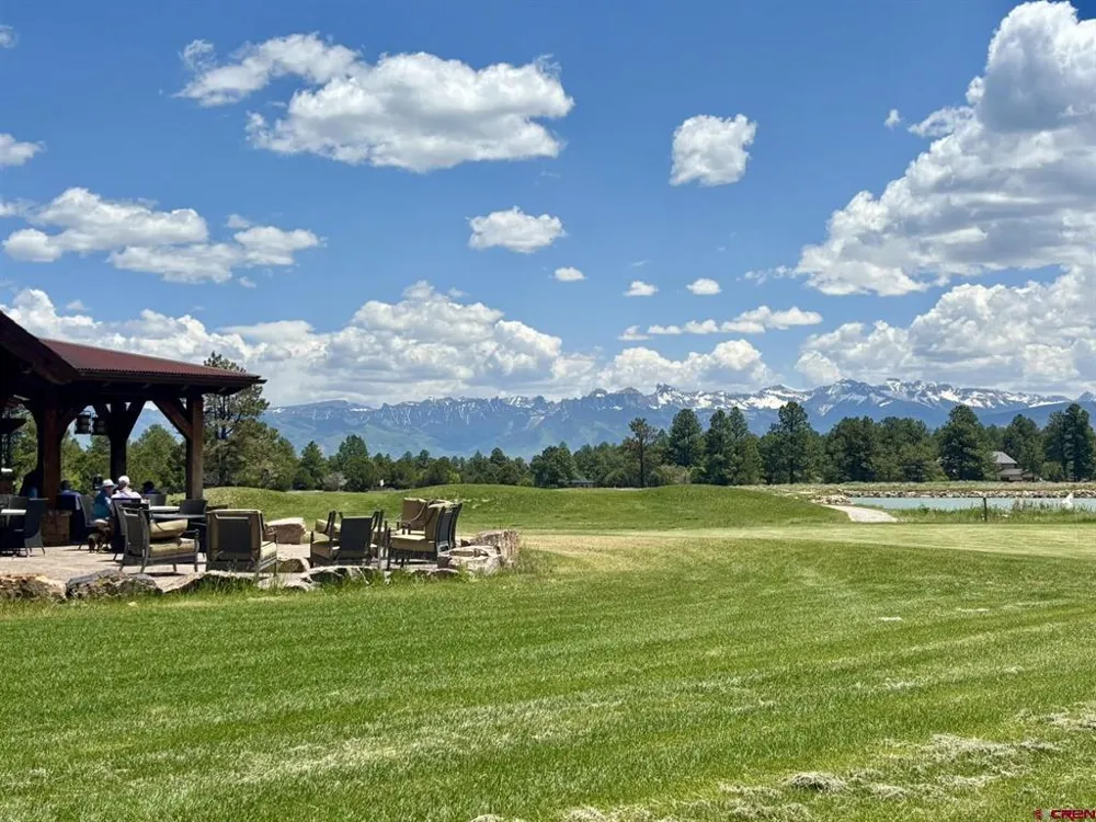 60 Fisher Canyon Drive Ridgway, CO 81432