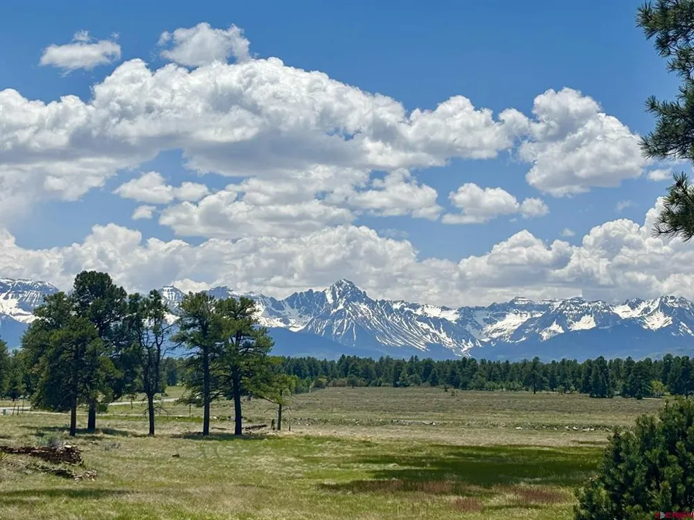60 Fisher Canyon Drive Ridgway, CO 81432