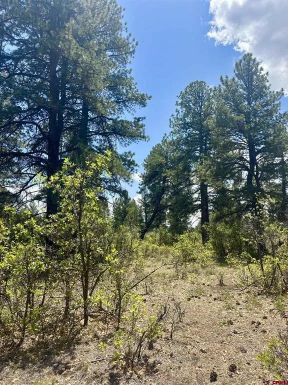 60 Fisher Canyon Drive Ridgway, CO 81432