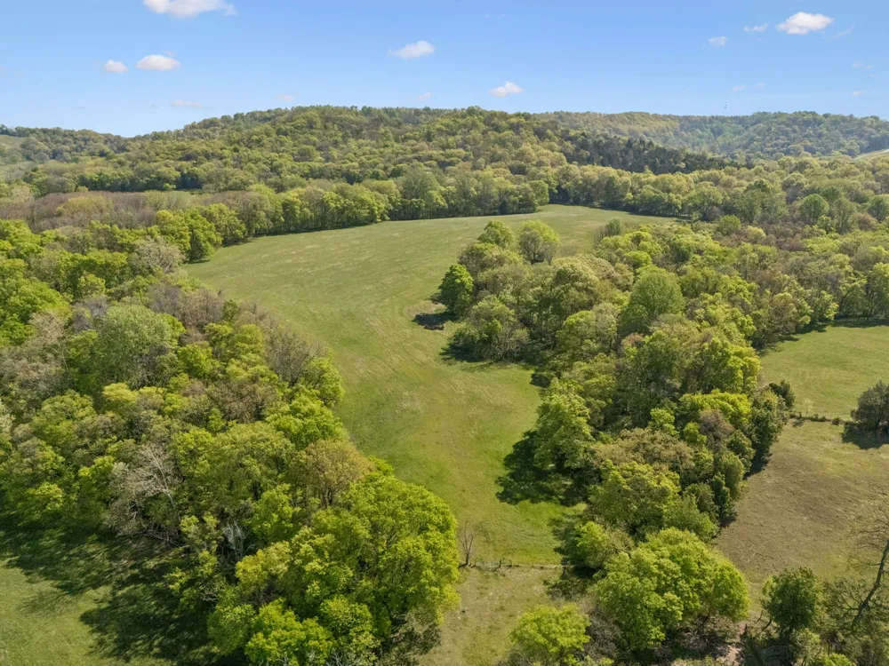 6666 Cross Keys Rd College Grove, TN 37046