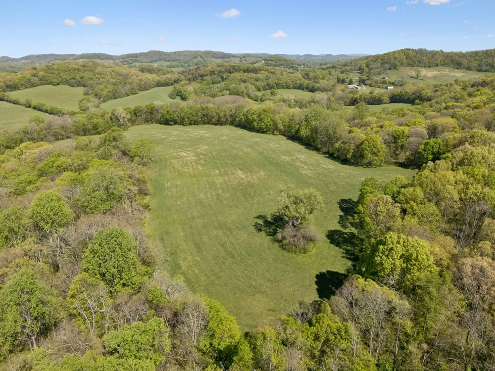 6666 Cross Keys Rd College Grove, TN 37046