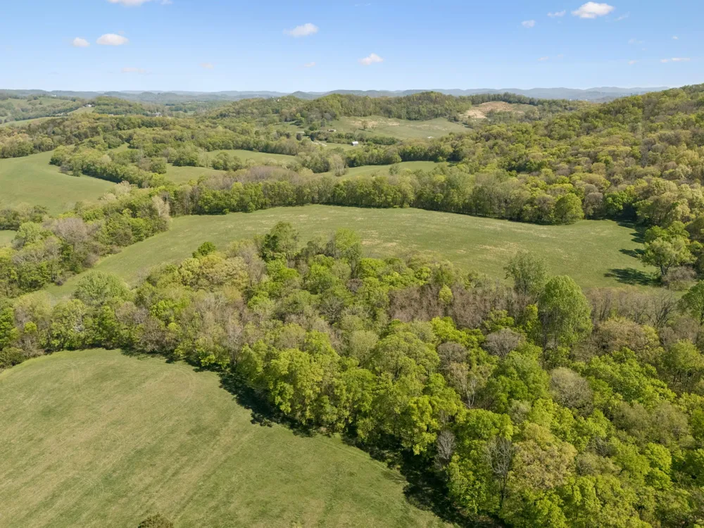 6666 Cross Keys Rd College Grove, TN 37046