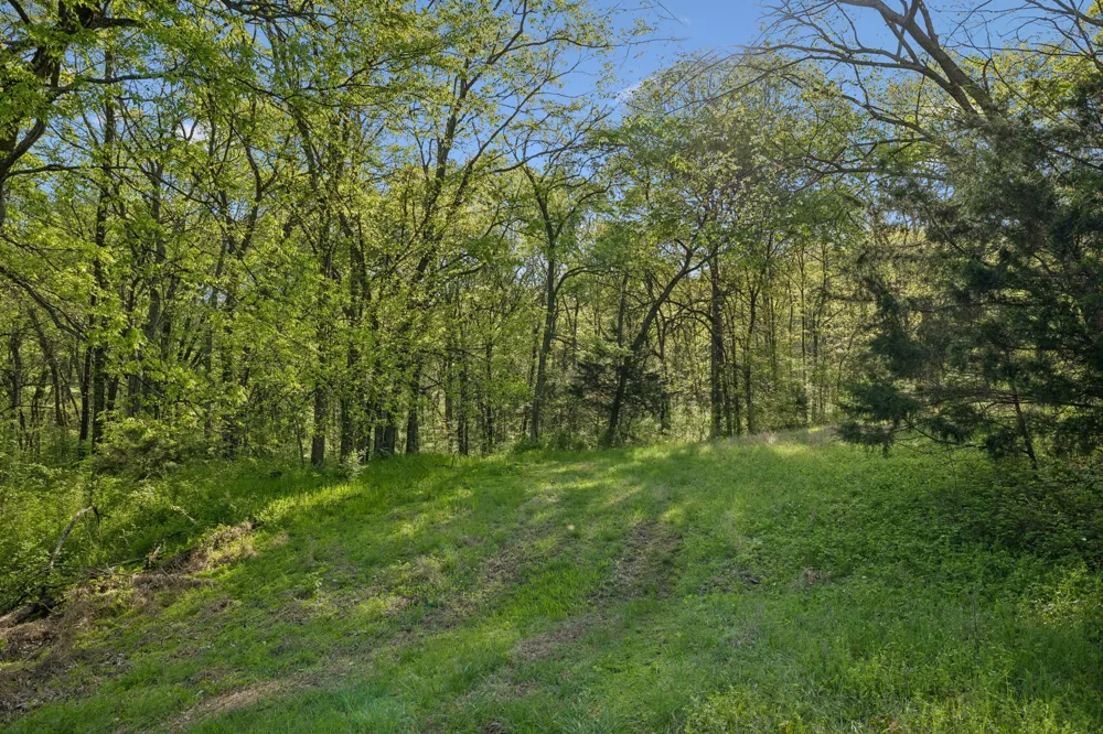6666 Cross Keys Rd College Grove, TN 37046