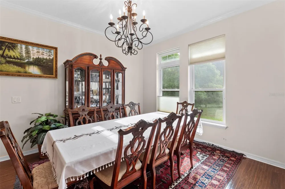 8434 WESTERLAND DRIVE Land O Lakes, FL 34637