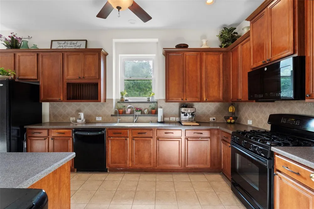 8434 WESTERLAND DRIVE Land O Lakes, FL 34637