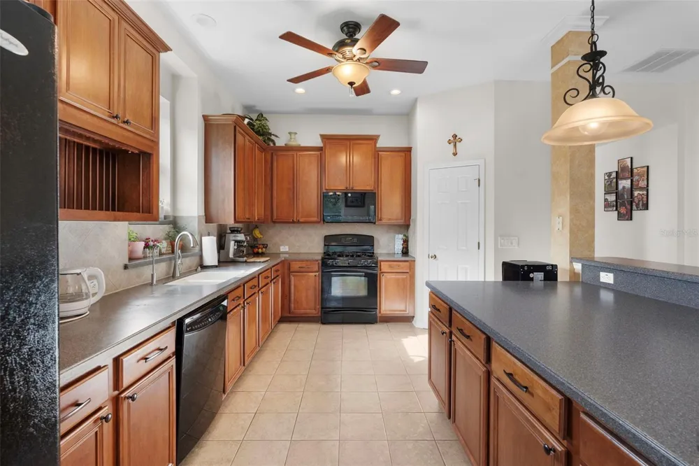 8434 WESTERLAND DRIVE Land O Lakes, FL 34637
