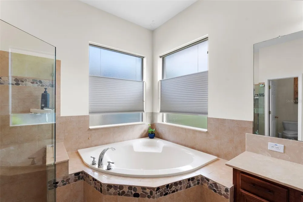 8434 WESTERLAND DRIVE Land O Lakes, FL 34637