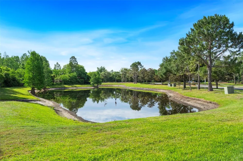 8434 WESTERLAND DRIVE Land O Lakes, FL 34637